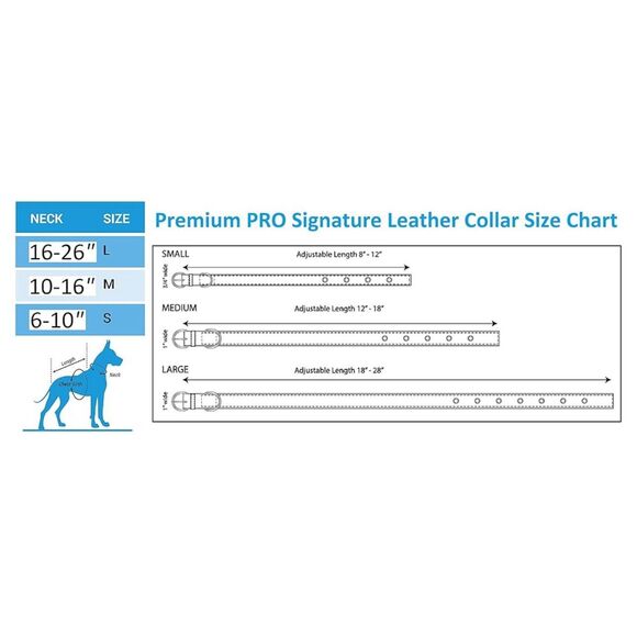 NWT NFL Seattle Seahawks Leather Dog Collar Large unused - Picture 8 of 8